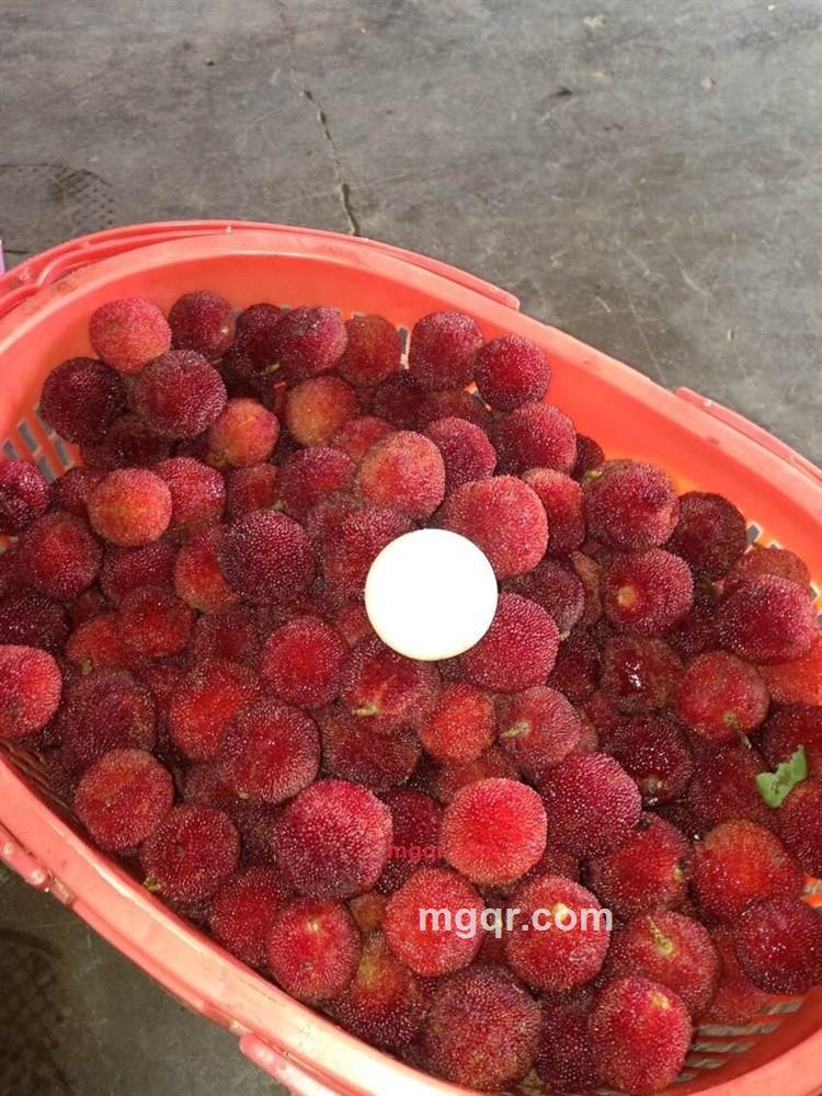 活着就是等死哦的第1张照片