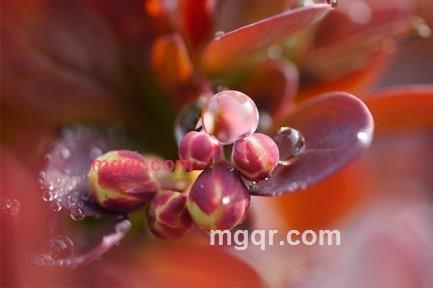 蓝蓝天的第3张照片