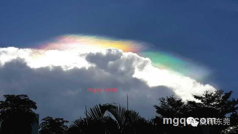 蓝蓝天的第2张照片