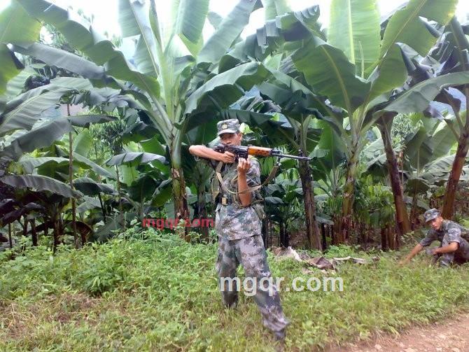 我树闸的第1张照片