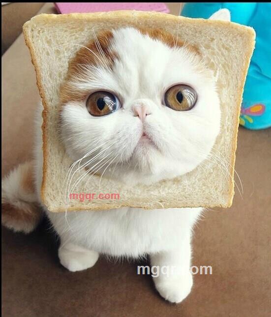 傲气的曦儿的第10张照片