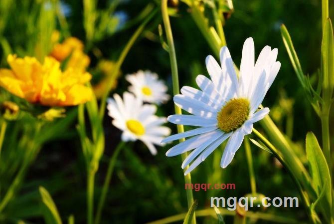 曾梦想仗剑走天涯的第6张照片