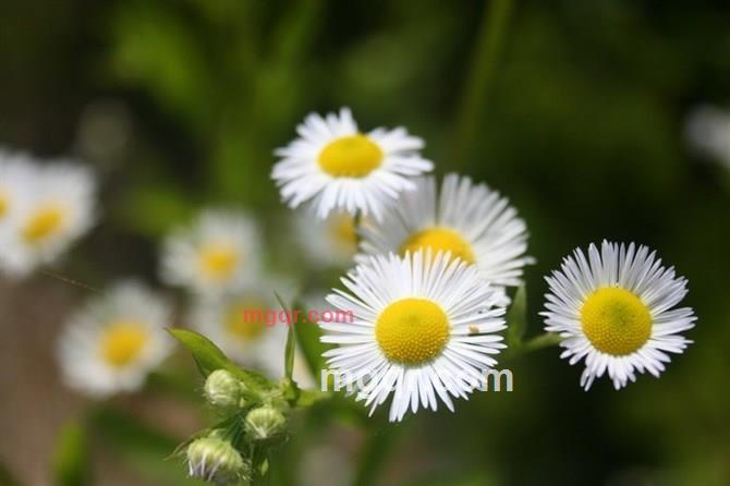 曾梦想仗剑走天涯的第5张照片