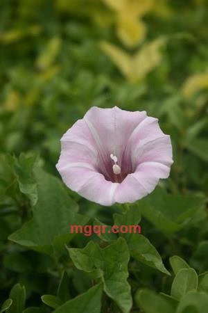 曾梦想仗剑走天涯的第4张照片