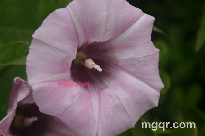 曾梦想仗剑走天涯的第3张照片