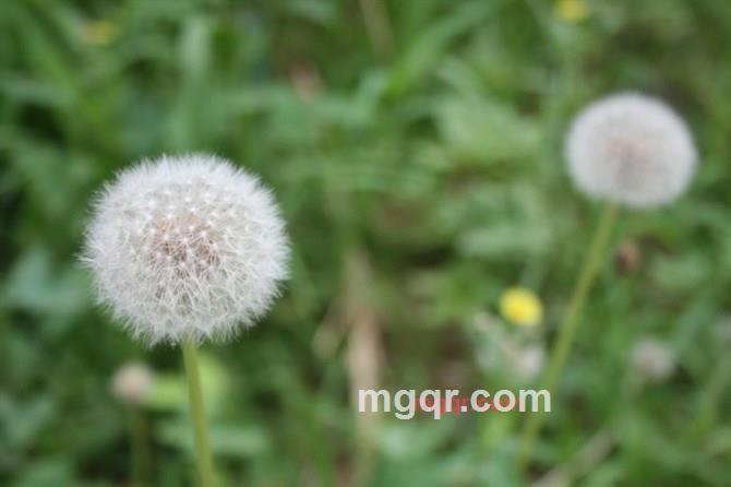 曾梦想仗剑走天涯的第2张照片