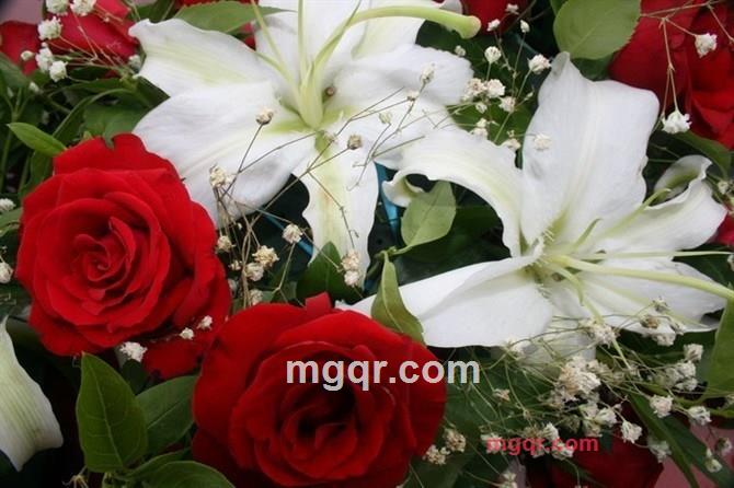 曾梦想仗剑走天涯的第1张照片