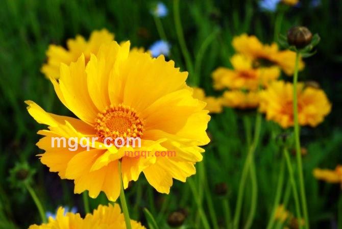 曾梦想仗剑走天涯的第7张照片