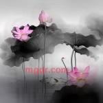 wkllxs的第2张照片