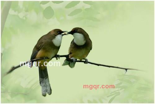 wkllxs的第1张照片