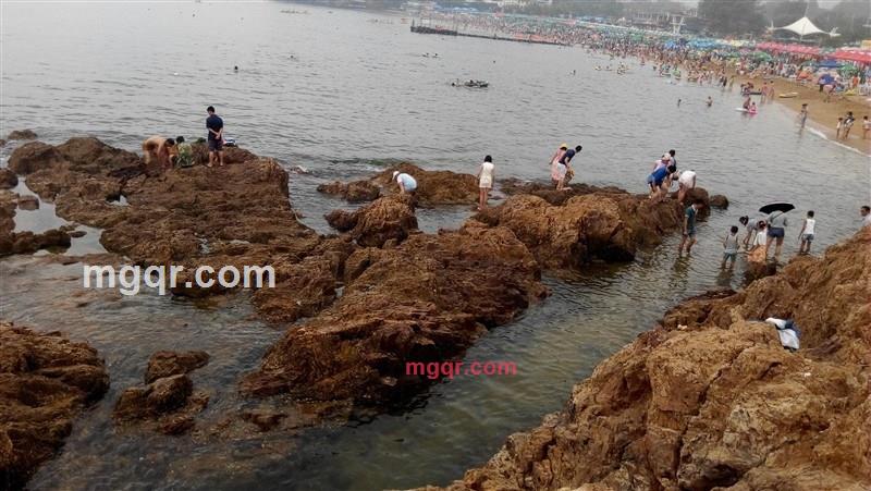 bqiqingting的第1张照片