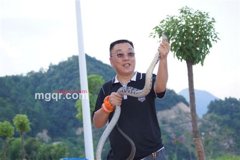 寂寞牙棒的第5张照片