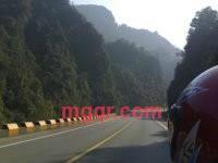 落叶嘀忧伤的第3张照片