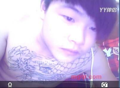 大雁独飞的第1张照片