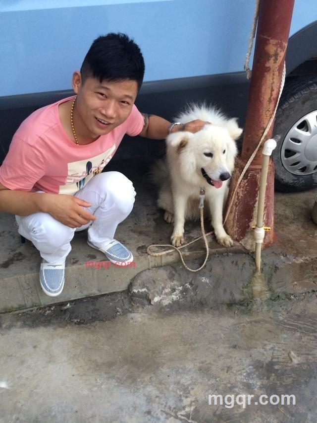 快乐的港湾1的第1张照片