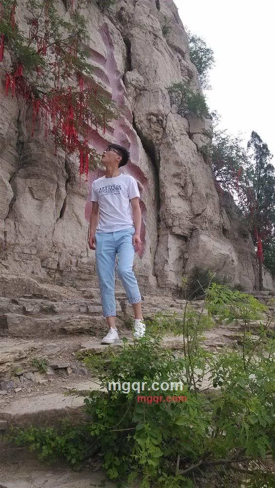 The bachelor的第1张照片