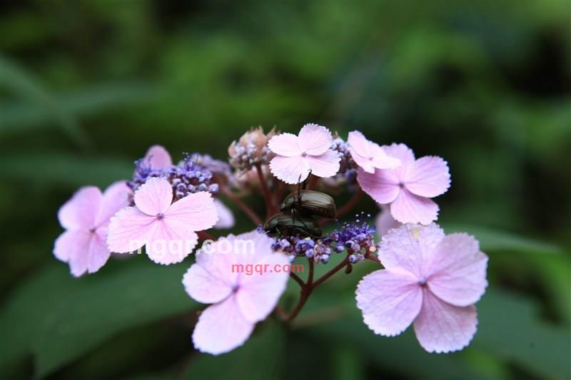 筒子骨的第3张照片