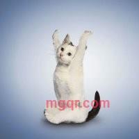 姑娘肿么了的第1张照片