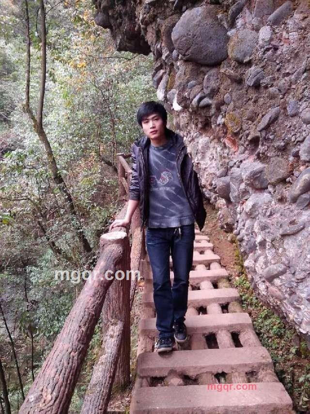 我是一只小小鸟1的第2张照片