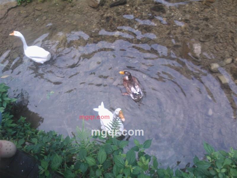 两个人的寂寞11的第2张照片