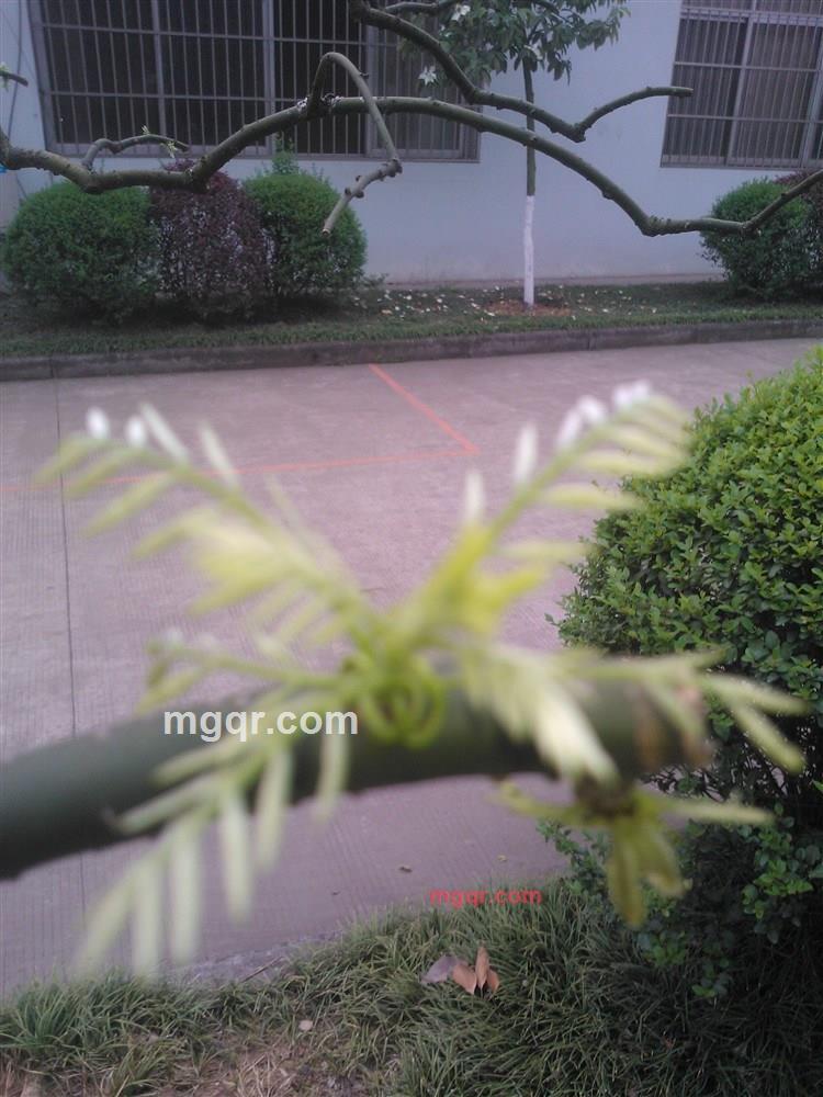 两个人的寂寞11的第1张照片