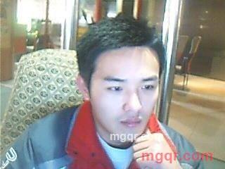 沉思的猫的第2张照片