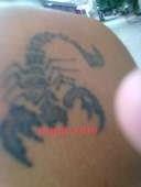 X仔的第2张照片