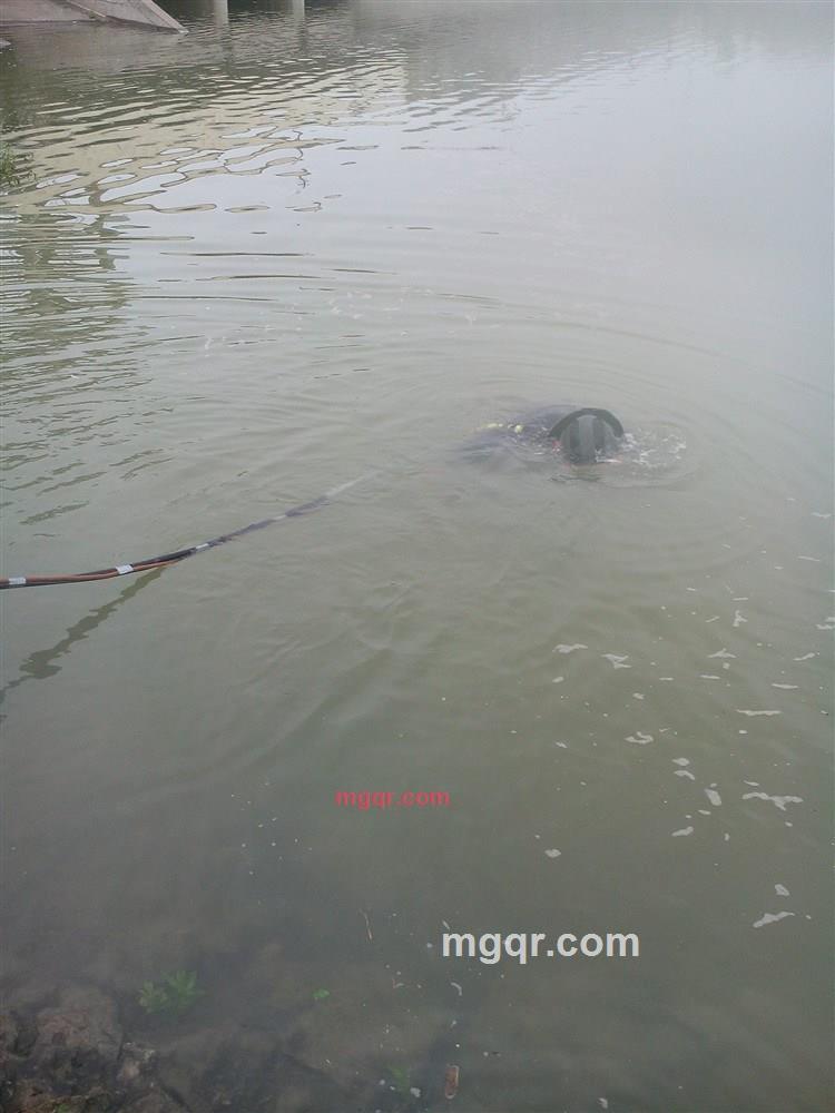 海222风的第8张照片