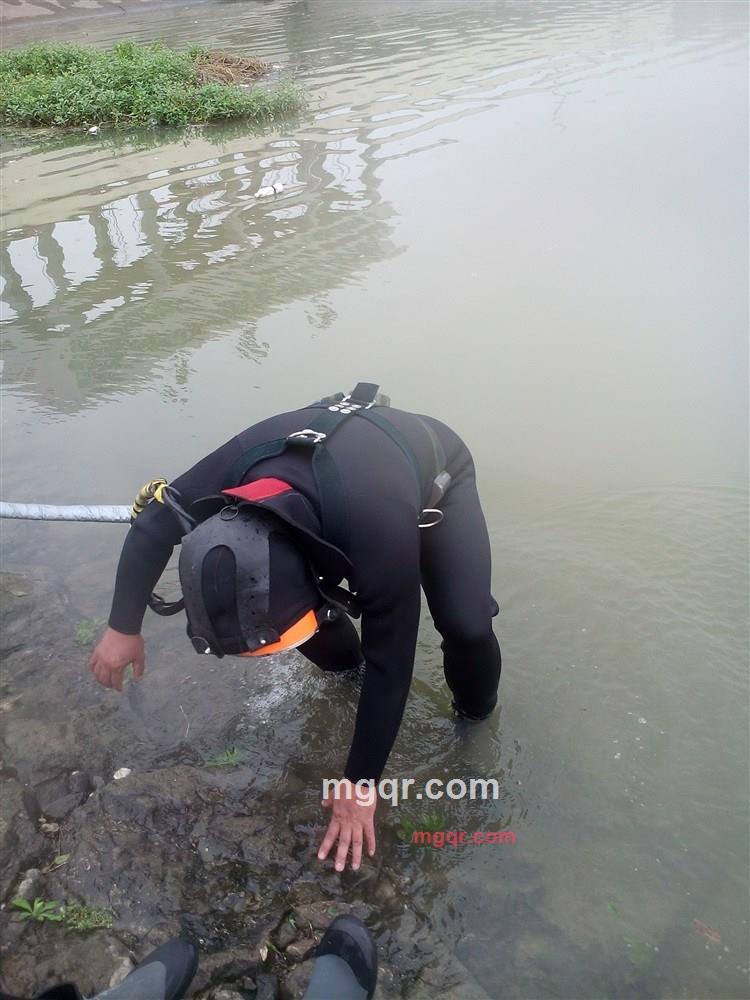 海222风的第6张照片