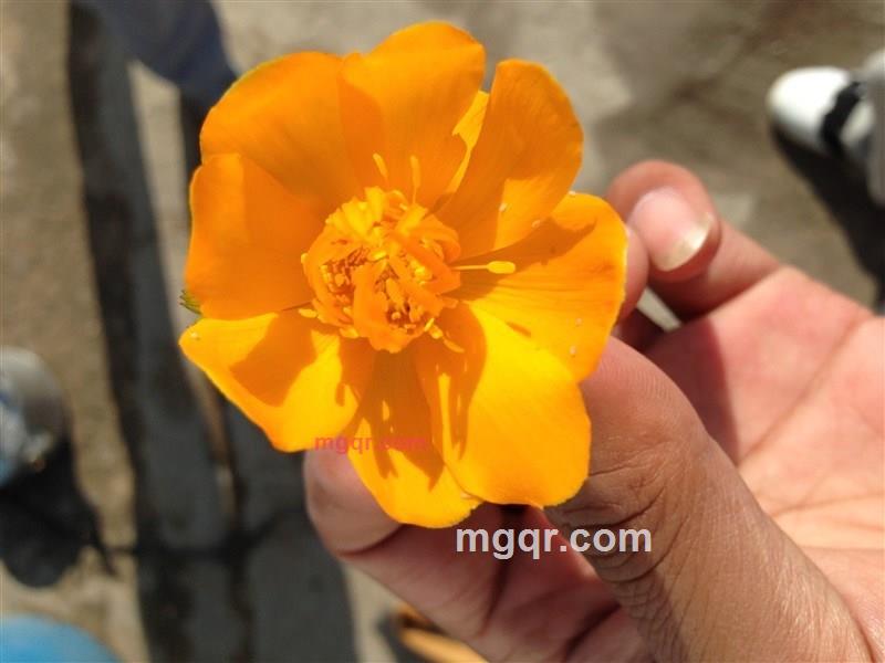 爱你在锦添的第2张照片