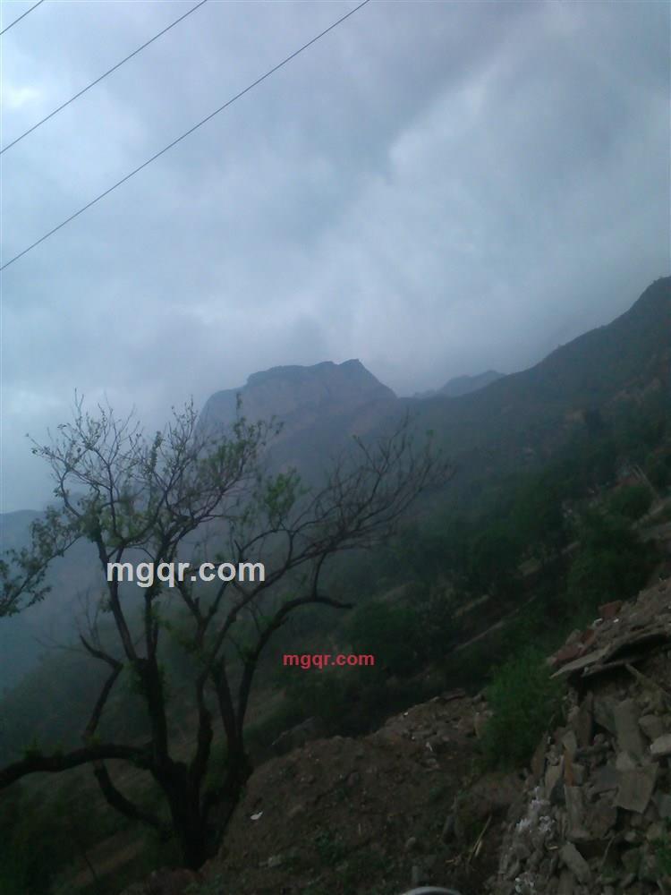 侧根的第2张照片