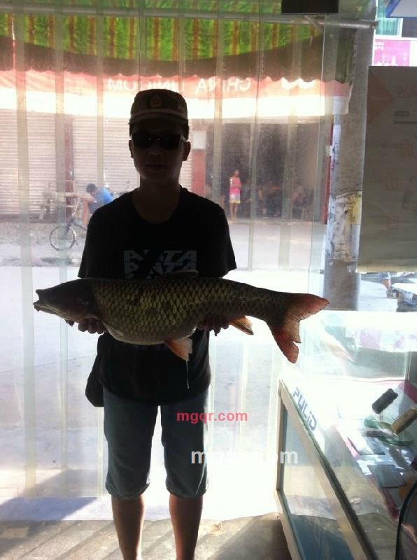 ***⑧次的第1张照片