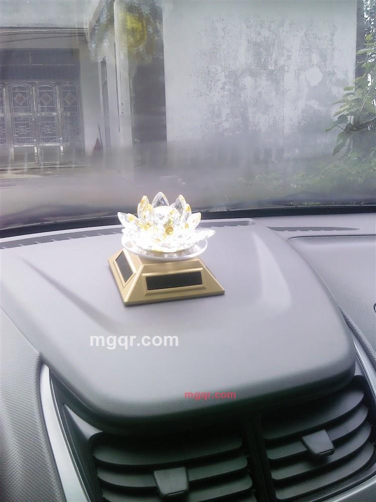 哟，生气了的第2张照片