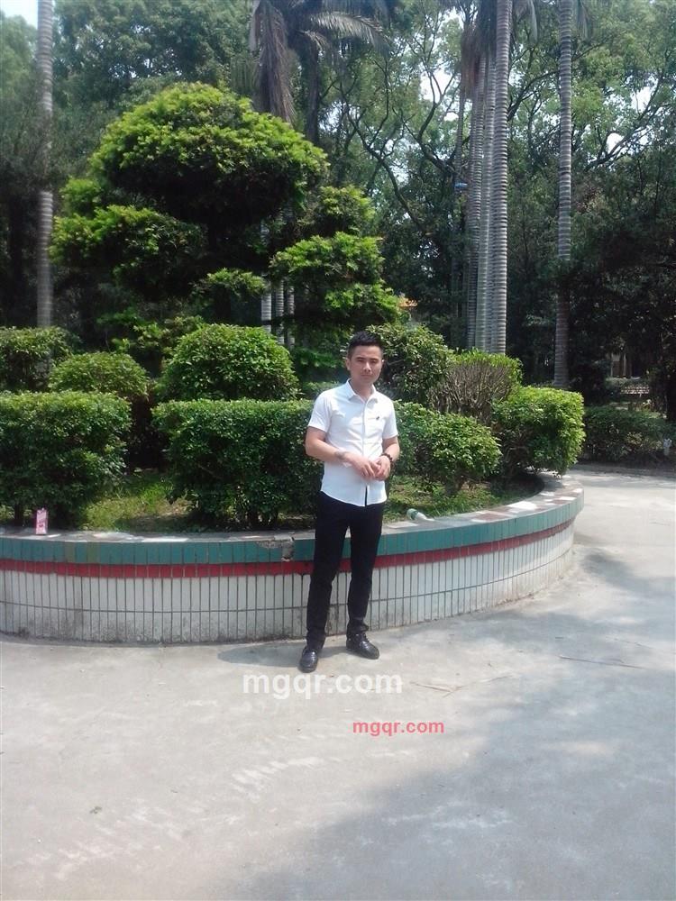 情歌快车的第1张照片