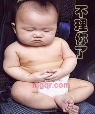 自由飞扬的第1张照片