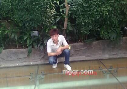 阳光下一起奔跑的第1张照片