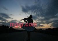 黑猫的第1张照片