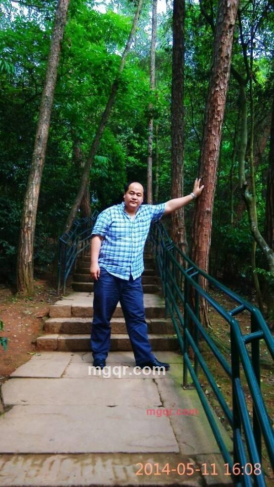 温森特的第18张照片