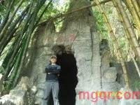 四菜一肉的第1张照片