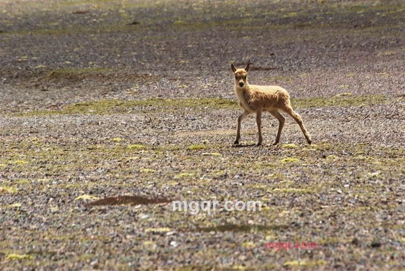 willyj的第1张照片