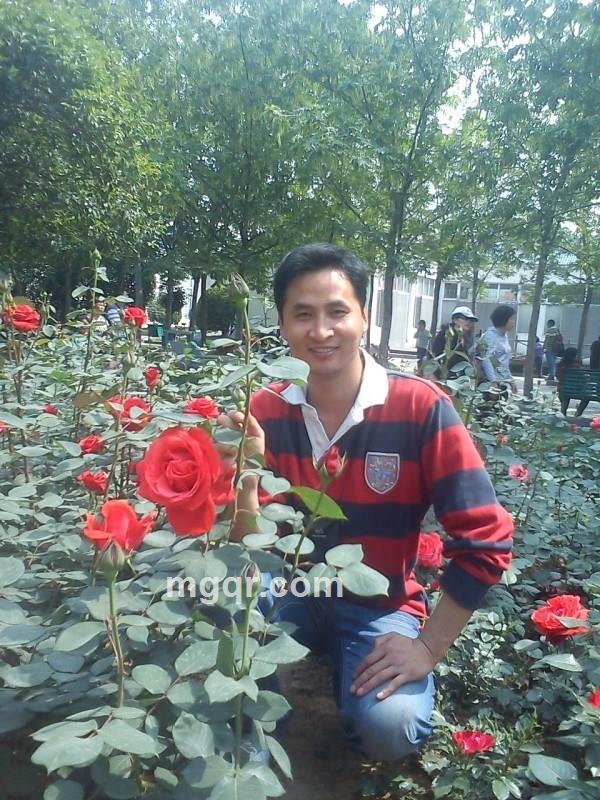 ♂片片枫叶情的第1张照片