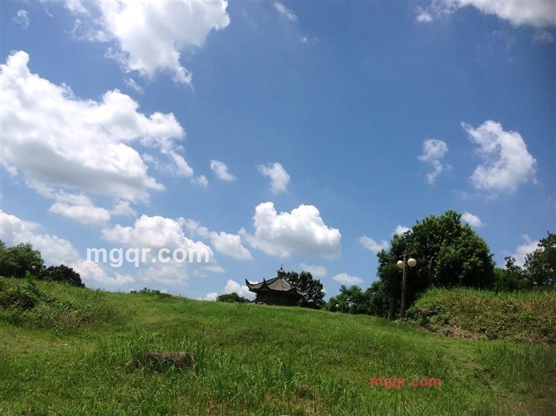 蓝色多瑙诃的第2张照片