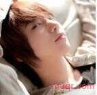 森林里的第1张照片