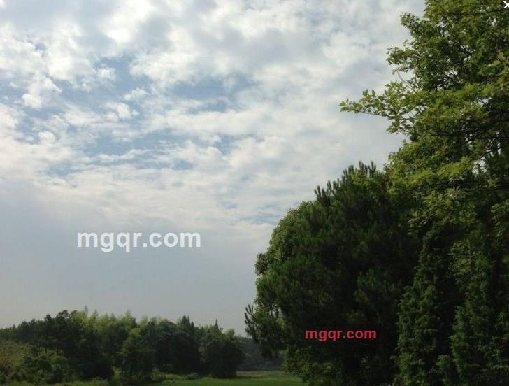 破题的第2张照片