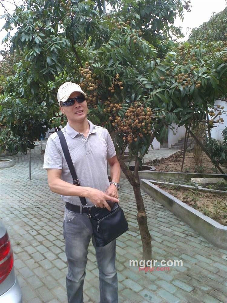 优雅迅捷的第1张照片