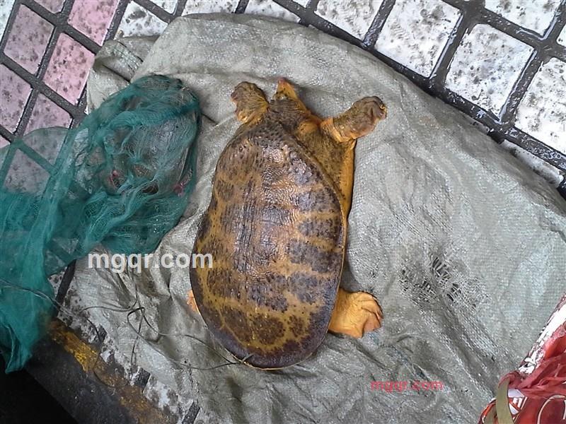 龙龙791220的第6张照片