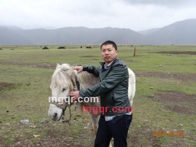 日久生情？的第1张照片