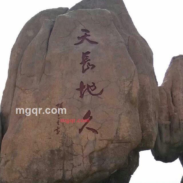 野狼的第1张照片