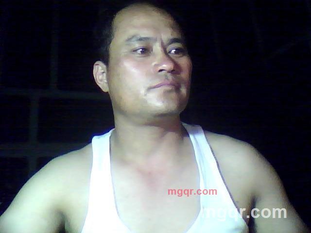 深山野猪的第1张照片