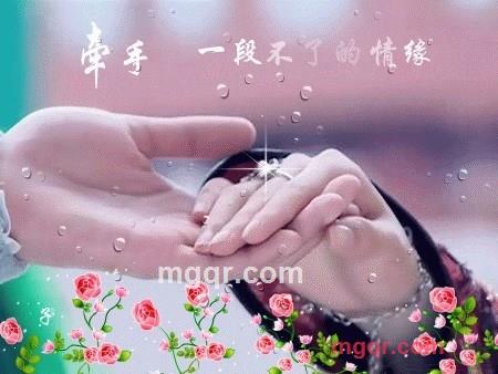 除刺的玫瑰的第9张照片